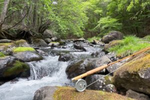 贈る言葉シリーズ〜利用者様の想い出（肺炎・在宅酸素）
